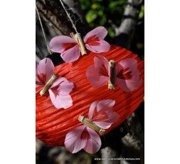 MARIPOSAS PLUMAS