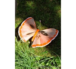 MARIPOSAS GRANDES