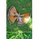 MARIPOSAS GRANDES