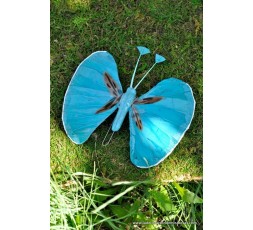 MARIPOSAS GRANDES