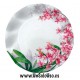 10 Platos cartón Orquideas