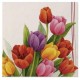 Servilletas Tulipanes colores