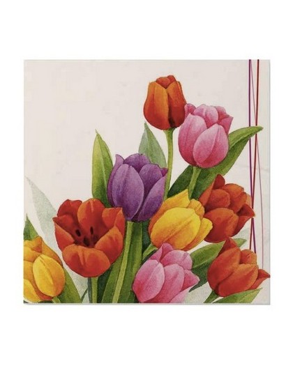 Servilletas Tulipanes colores