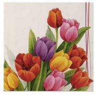 Servilletas Tulipanes colores